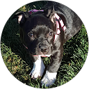 Kimberly S. profile picture